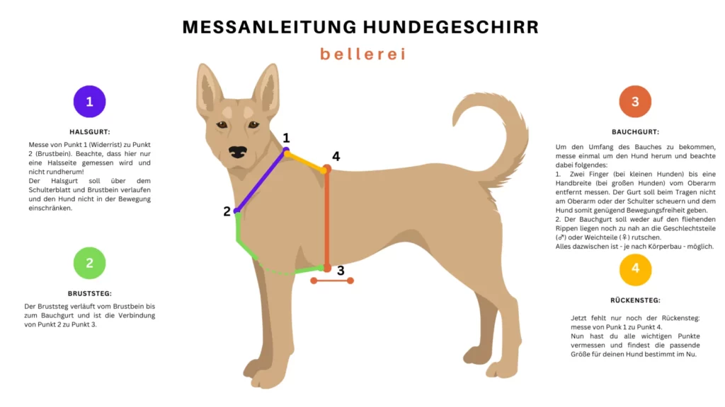 Messanleitung Hundegeschirr